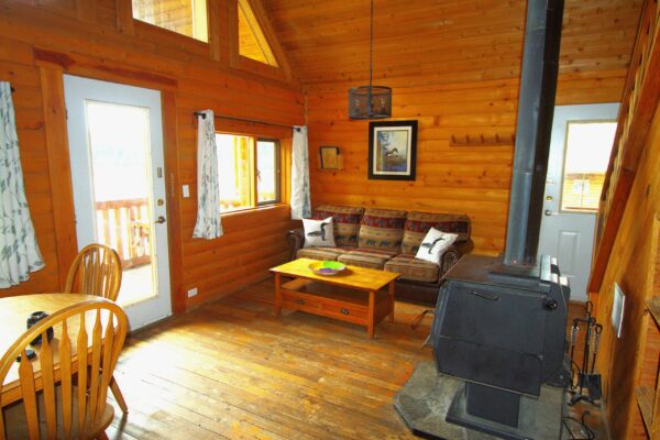 cabin 15 living room
