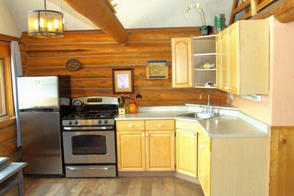 cabin 2 kitchen