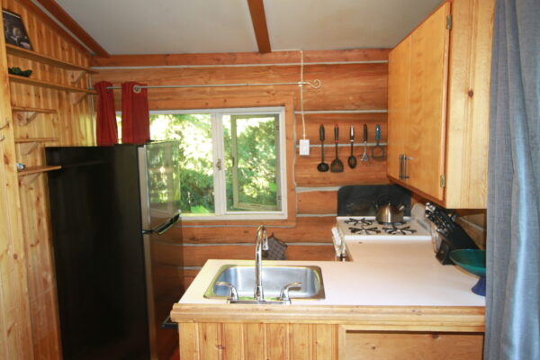 cabin 8 kitchen1